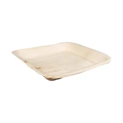 Biodore Bord Palmblad 24 x 24 cm (25 stuks)