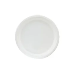 Bord Rond Suikerriet 26cm (500 stuks)