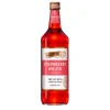 De Kuyper Strawberry Mojito Cocktail (1 liter)