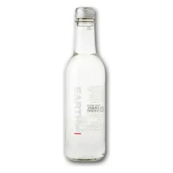 Earth Water Koolzuurhoudend Glas (24x 33cl)