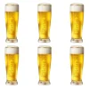 Hertog Jan Embost glas (6x 25cl)
