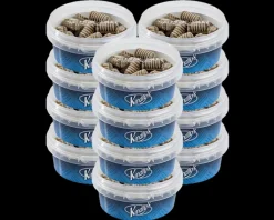 Kindly’s Salmiak Touw Bakje (12 stuks)