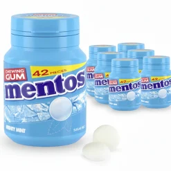 Mentos Kauwgom Mighty Mint Bottle (6x 42 stuks)