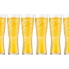 Peroni Glas (12x 25cl)