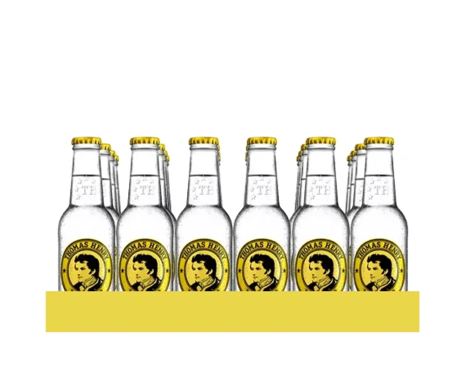 Thomas Henry Tonic Water Flesje (24x 20cl)